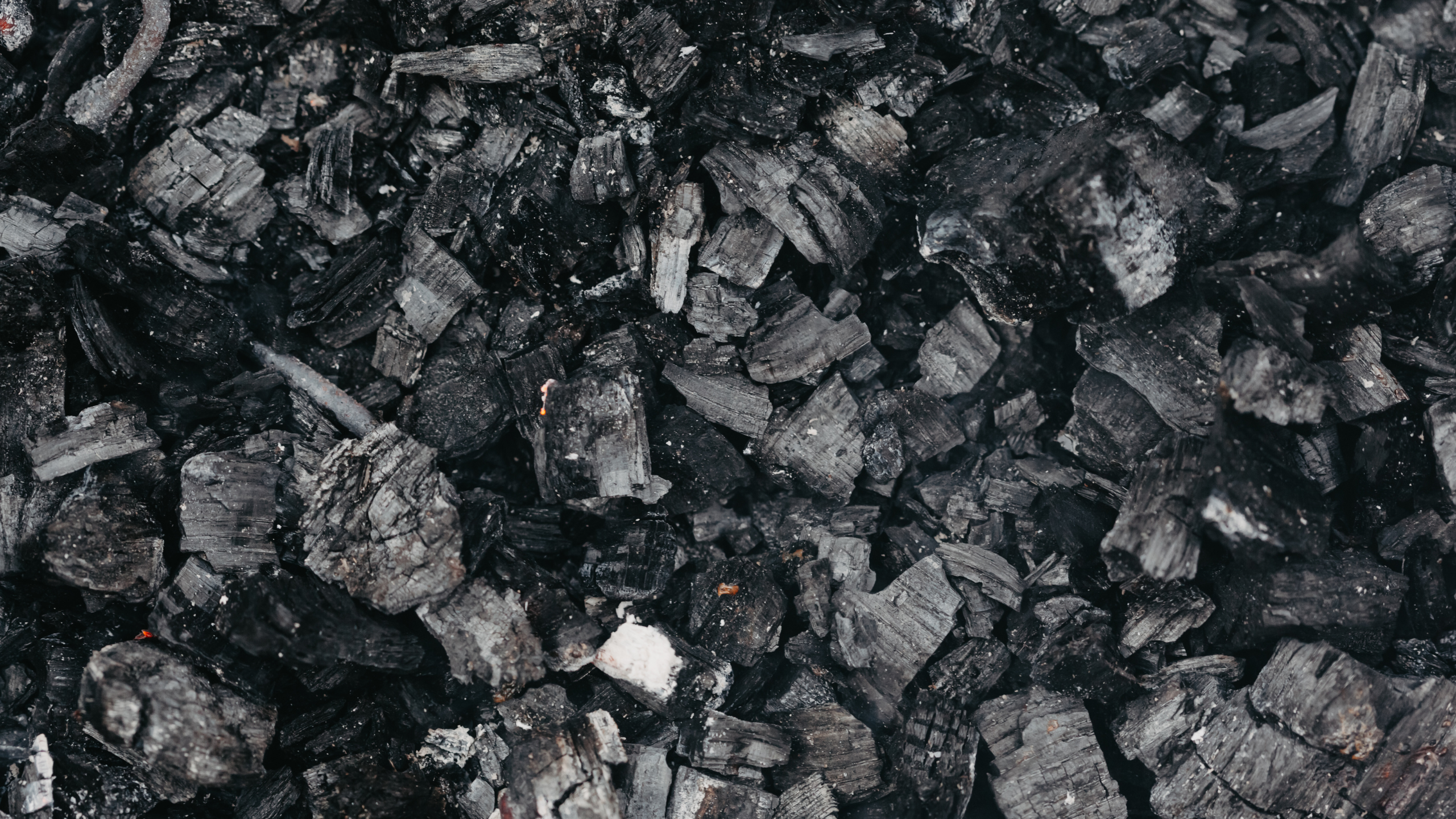 Granular Activated Carbon Close Up