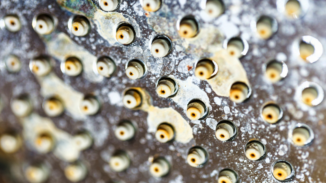 Limescale buildup closeup on shower head