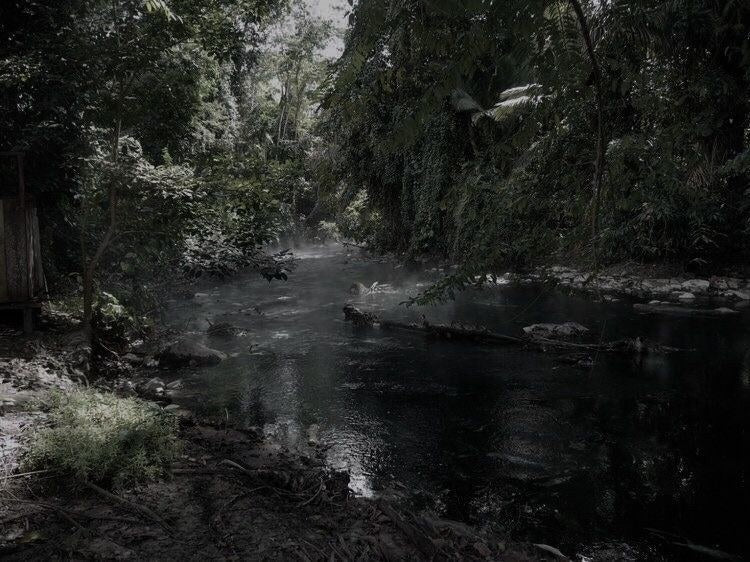 En mörk, dimmig flod rinner genom en tät skog.