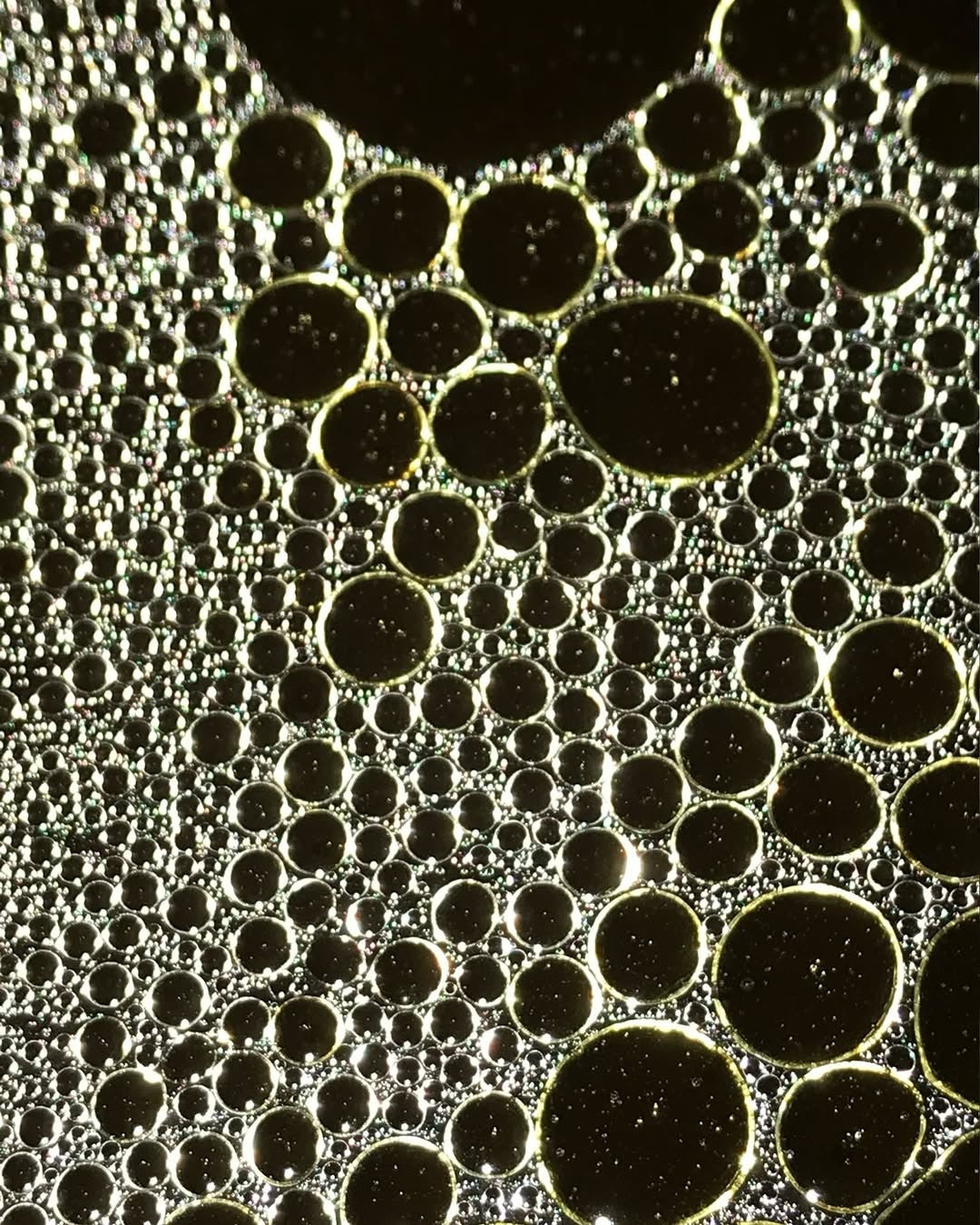 Shower Filters